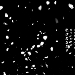 ✦